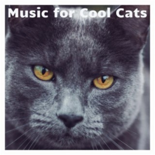 Music for Cool Cats