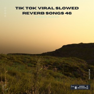 Tik Tok Viral Slowed Reverb Songs 46
