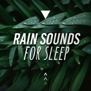 Rain Sounds For Sleep