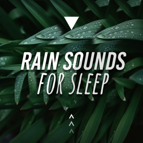Rainstorm Sleep | Boomplay Music