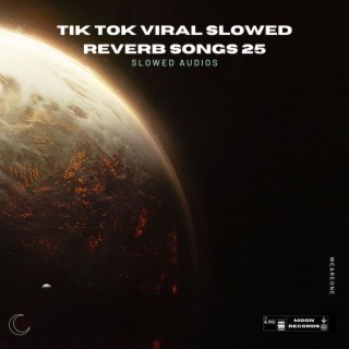 Tik Tok Viral Slowed Reverb Songs 25