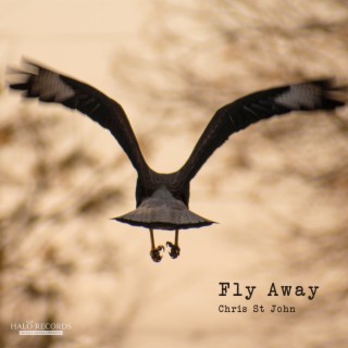 Fly Away