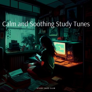 Calm and Soothing Study Tunes