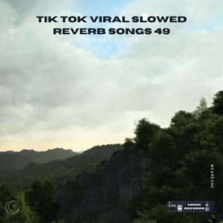 Tik Tok Viral Slowed Reverb Songs 49