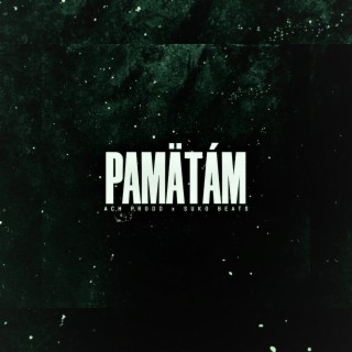 Pamätám lyrics | Boomplay Music