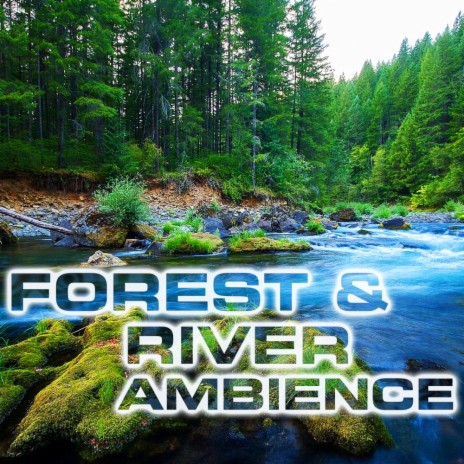 Soothing Forest & River Ambience ft. NatGeo White Noise, NatGeo Nature Sounds & NatGeo Soundscapes | Boomplay Music