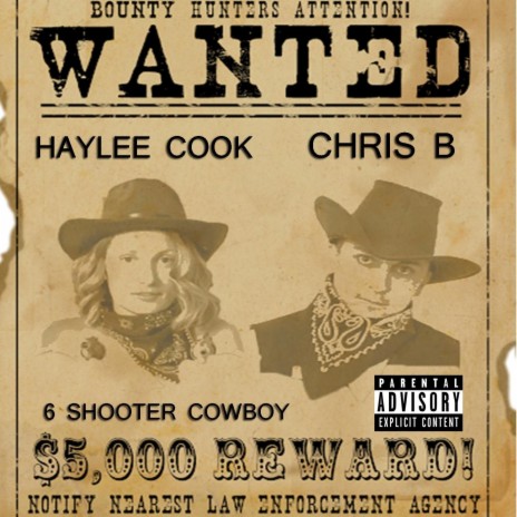 6 Shooter Cowboy (feat. Haylee Cook) | Boomplay Music