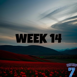 Week 14