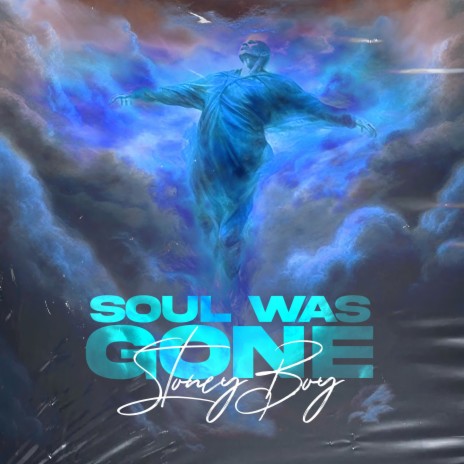 Soul Was Gone | Boomplay Music