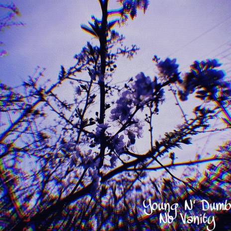 Young N' Dumb ft. Miroow | Boomplay Music