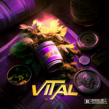 Vital (outro) | Boomplay Music