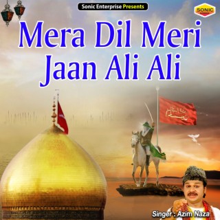 Mera Dil Meri Jaan Ali Ali