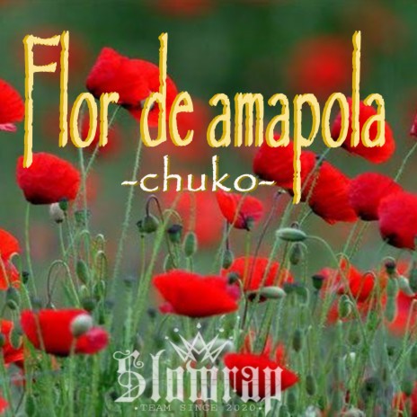 Flor de amapola | Boomplay Music