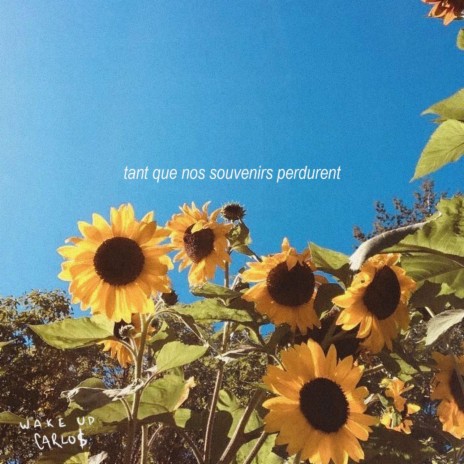 tant que nos souvenirs perdurent | Boomplay Music