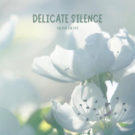Delicate Silence | Boomplay Music