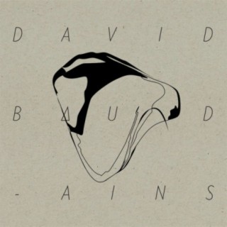 David Baudains