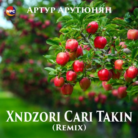 Хndzori Сari Takin (Remix) | Boomplay Music