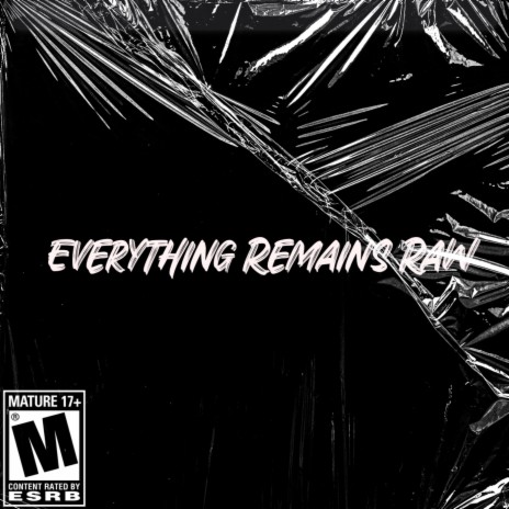 Everything Remains Raw | Boomplay Music