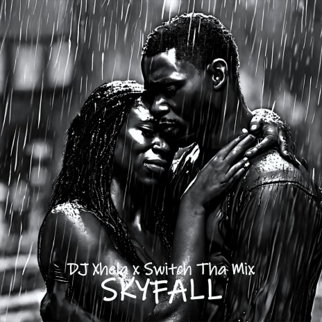 Skyfall ft. Switch Tha Mix | Boomplay Music