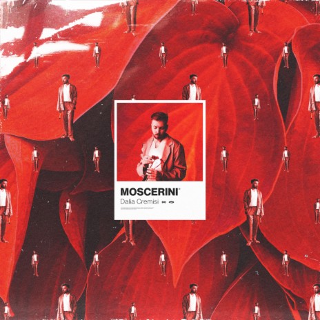 Moscerini | Boomplay Music