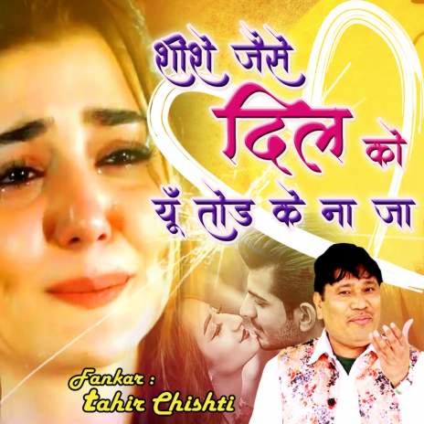 Shishe Jaise Dil Ko Yoon Tod Ke Na Jaa | Boomplay Music