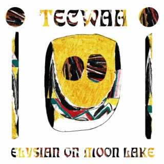 Tecwaa