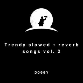 Perfectly Slowed+Reverb Songs Vol. 2