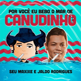 Por você eu bebo o mar de canudinho