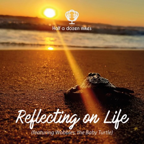 Reflecting on Life
