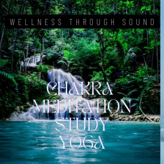 Wellness Through Sound