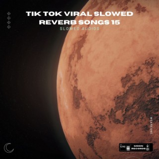 Tik Tok Viral Slowed Reverb Songs 15