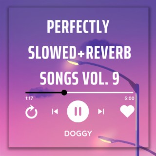 Perfectly Slowed+Reverb Songs Vol. 9