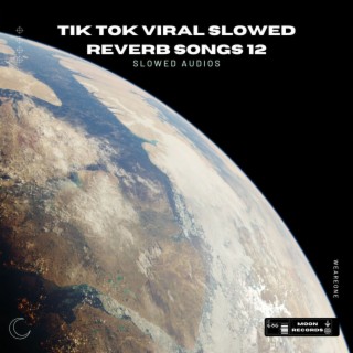 Tik Tok Viral Slowed Reverb Songs 12