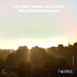 Tik Tok Viral Slowed Reverb Songs 44