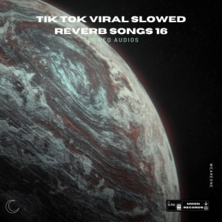 Tik Tok Viral Slowed Reverb Songs 16