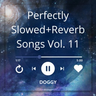 Perfectly Slowed+Reverb Songs Vol. 11