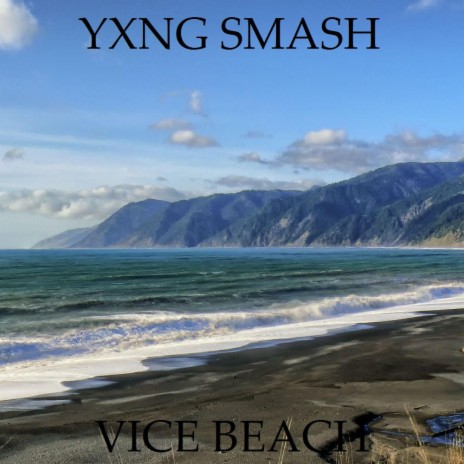 Vice Beach