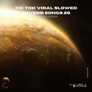 Tik Tok Viral Slowed Reverb Songs 28