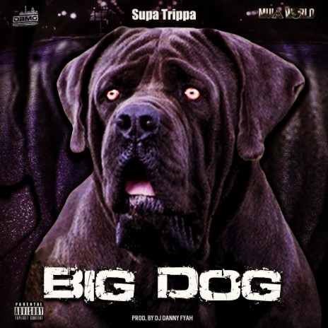 Big Dog | Boomplay Music