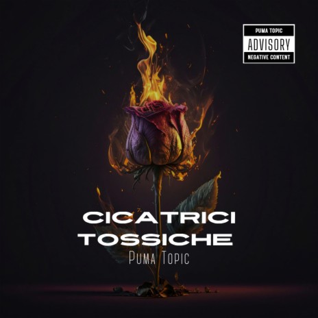 Cicatrici Tossiche | Boomplay Music