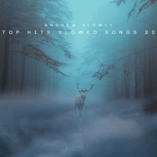 Top Hits Slowed Songs 22