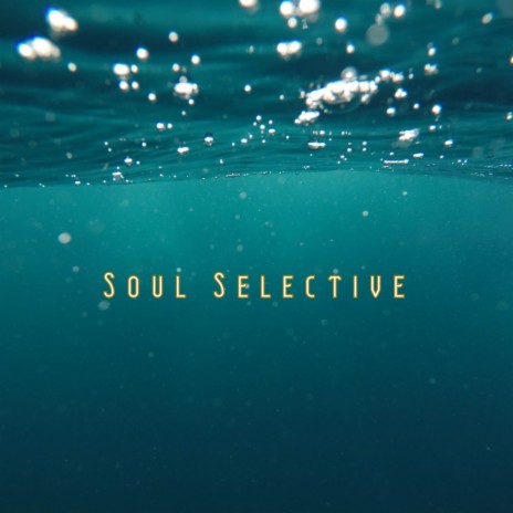 Soul Selective (Amapiano Mix) | Boomplay Music