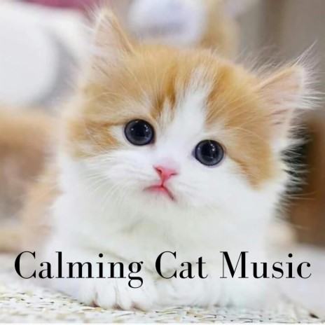Ease Your Cat's Mind ft. RelaxMyCat & Cat Music Dreams