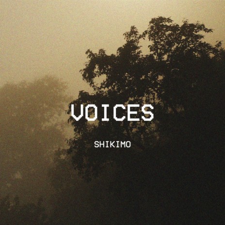 Voices | Boomplay Music