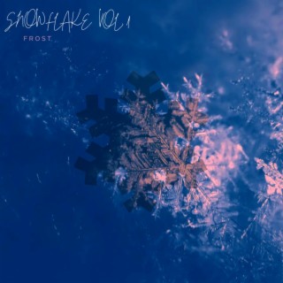 Snowflake Vol.1