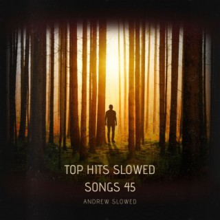 Top Hits Slowed Songs 45