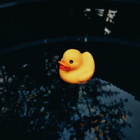 Happy Duck | Boomplay Music