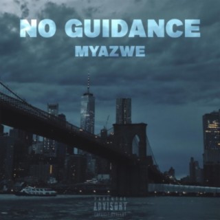 No Guidance