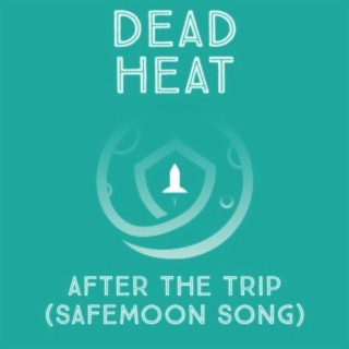 After The Trip (Safemoon Song)