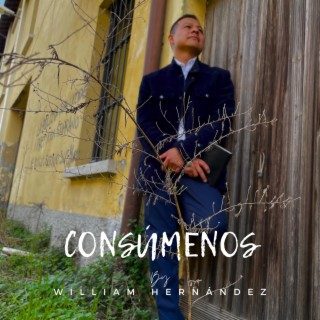 CONSUMENOS lyrics | Boomplay Music